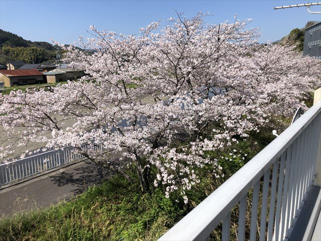 藤枝市　戸建　内覧に行ってきました